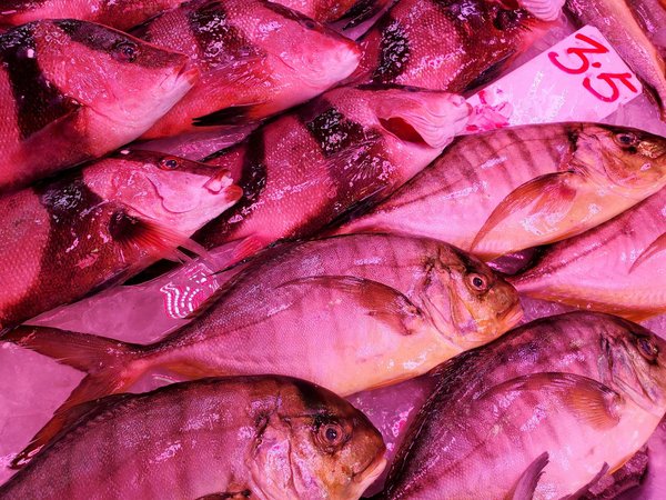 Tu GuÃ­a Esencial hacia